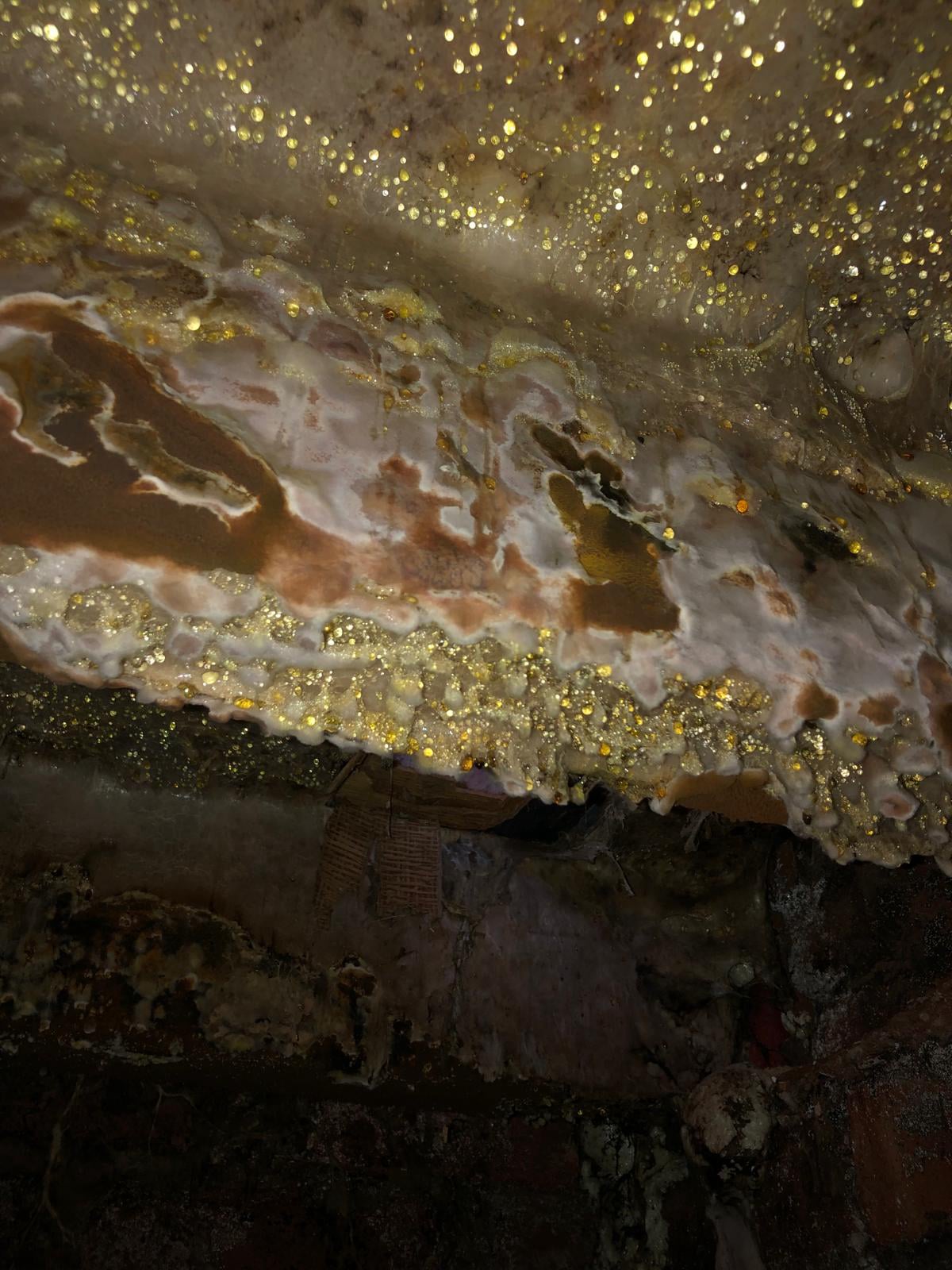 Old Swan Dry Rot Treatment | Barrier Property Care