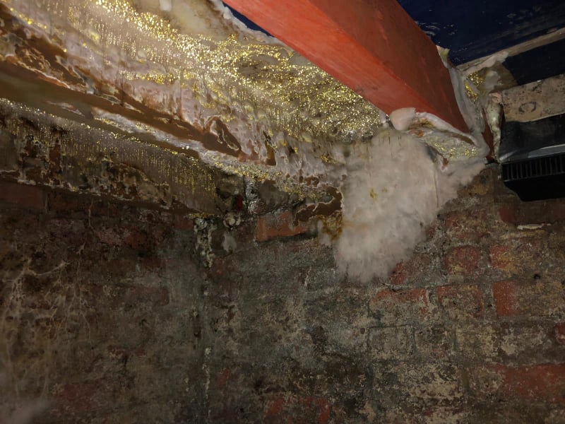 Old Swan Dry Rot Treatment | Barrier Property Care